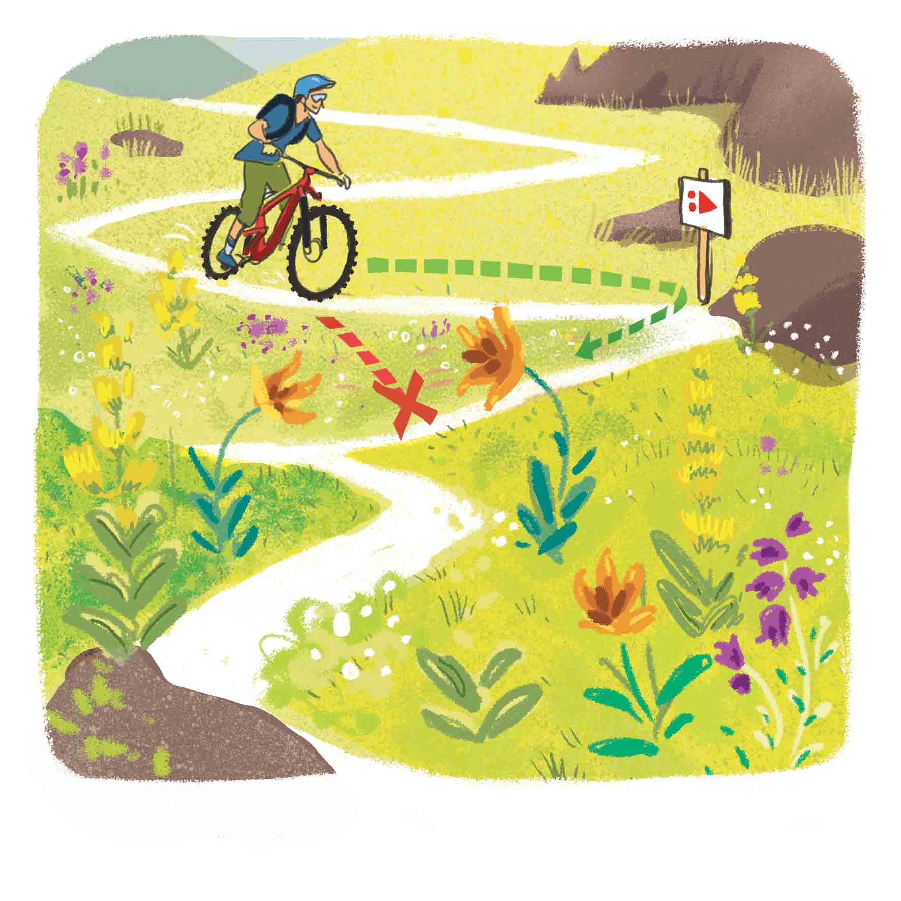 VTT ne pas couper les sentiers