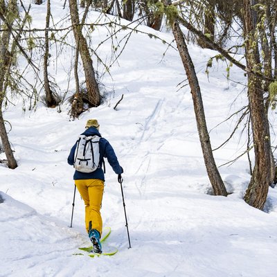 Itinéraire en forêt