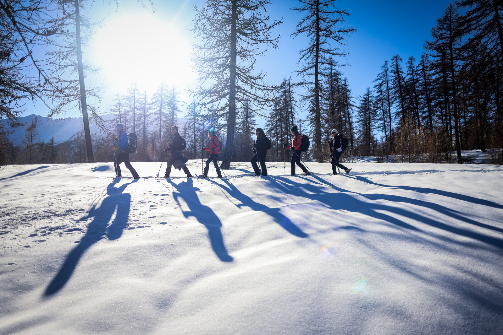 Passage dans la forêt