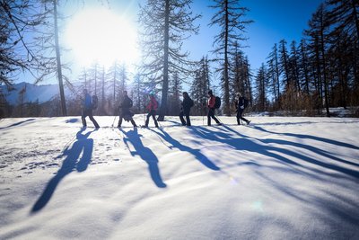 Passage dans la forêt