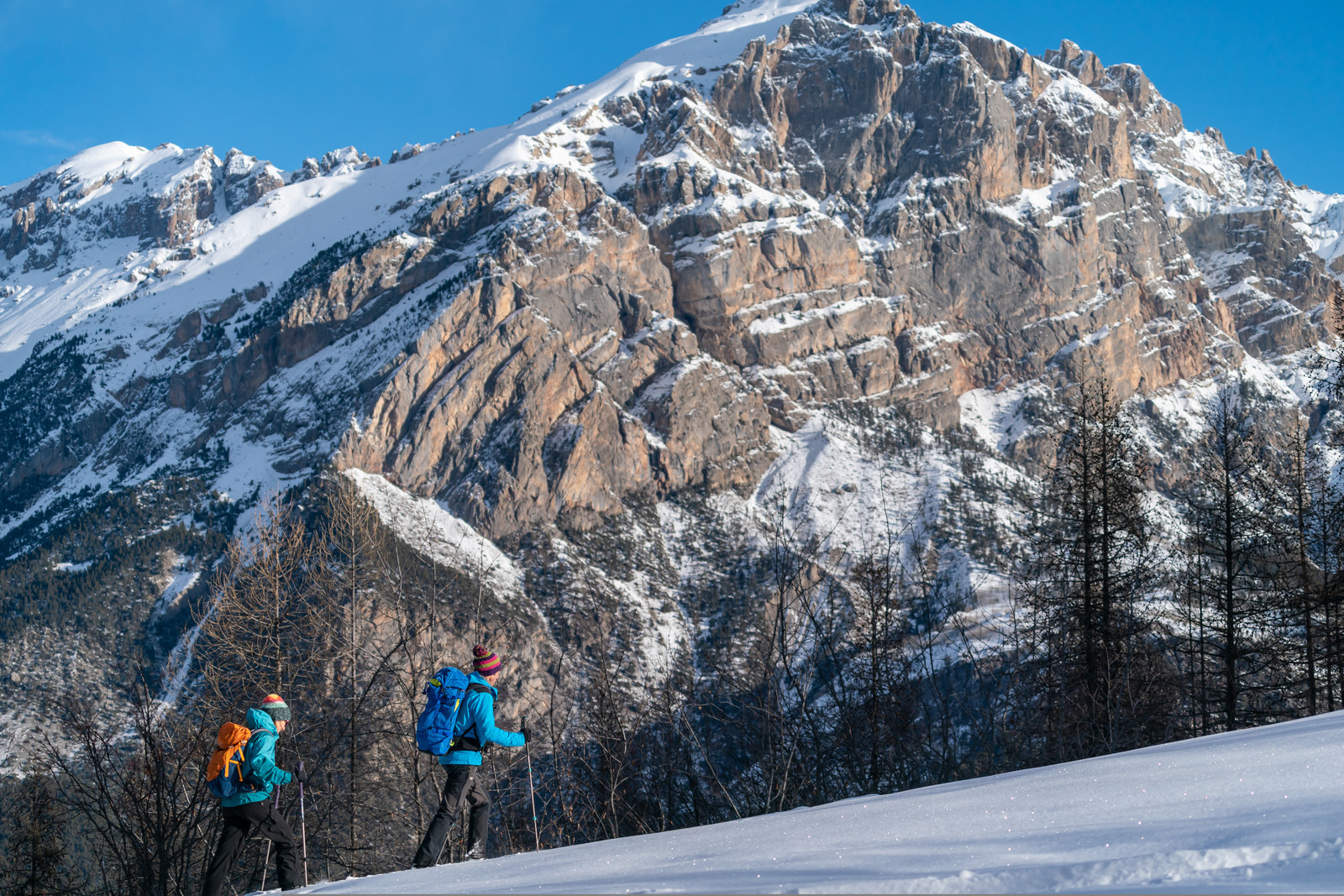 Raquette en Vallouise