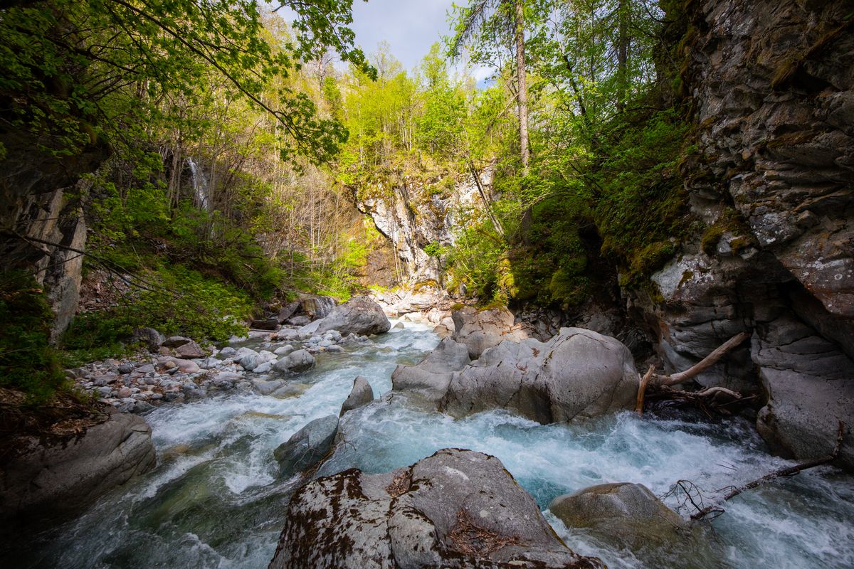 Torrent d'Ailefroide