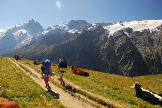 Refuge des Mouterres - balade sur le Plateau d'Emparis