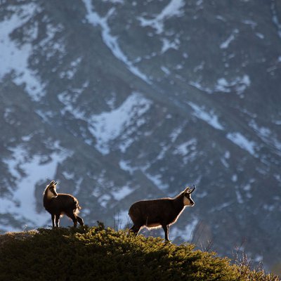 © Thierry Maillet - Parc national des Écrins