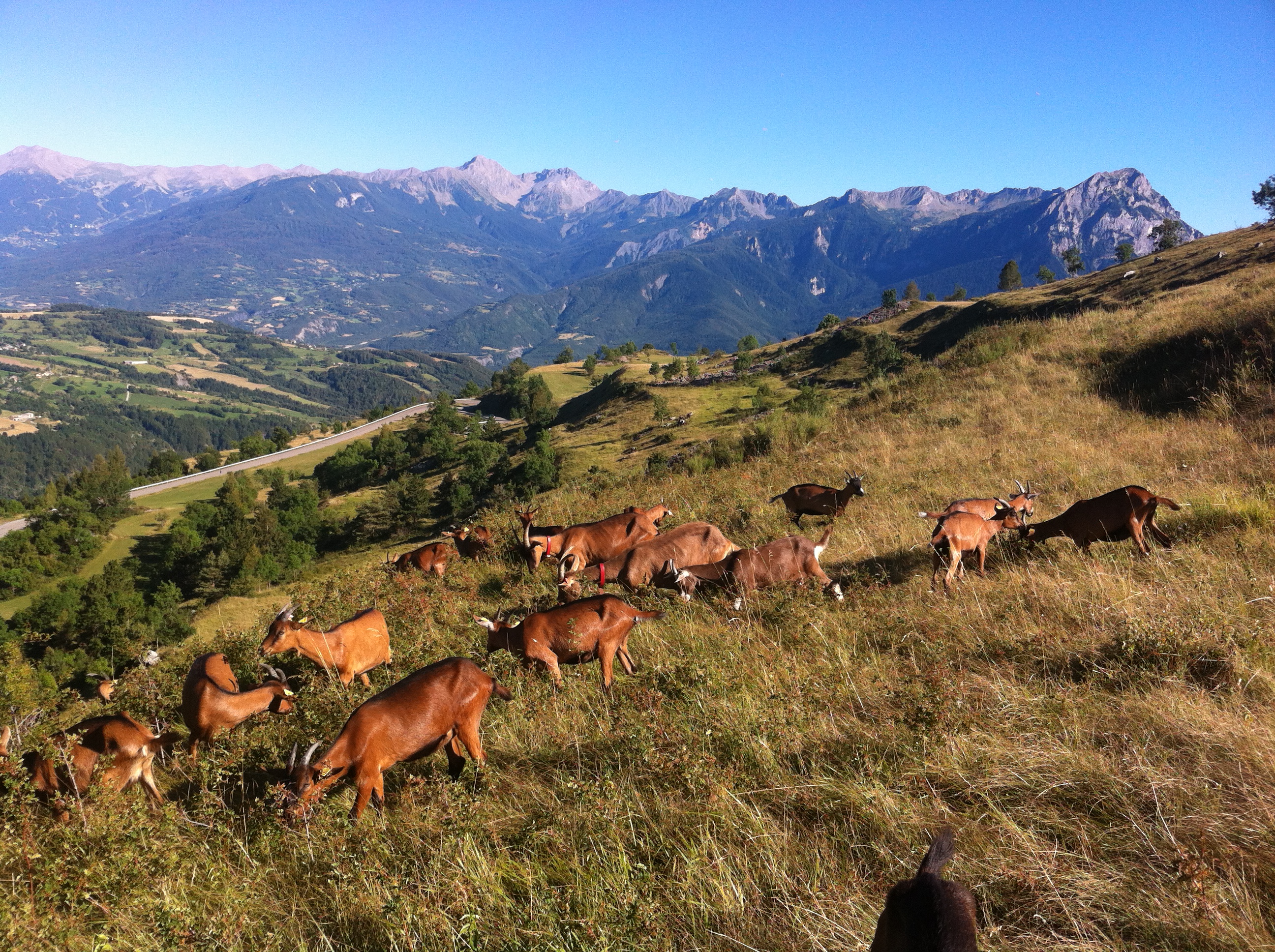 © Ferme du Bayle