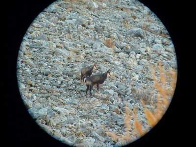 © Cyril Coursier - Parc national des Écrins