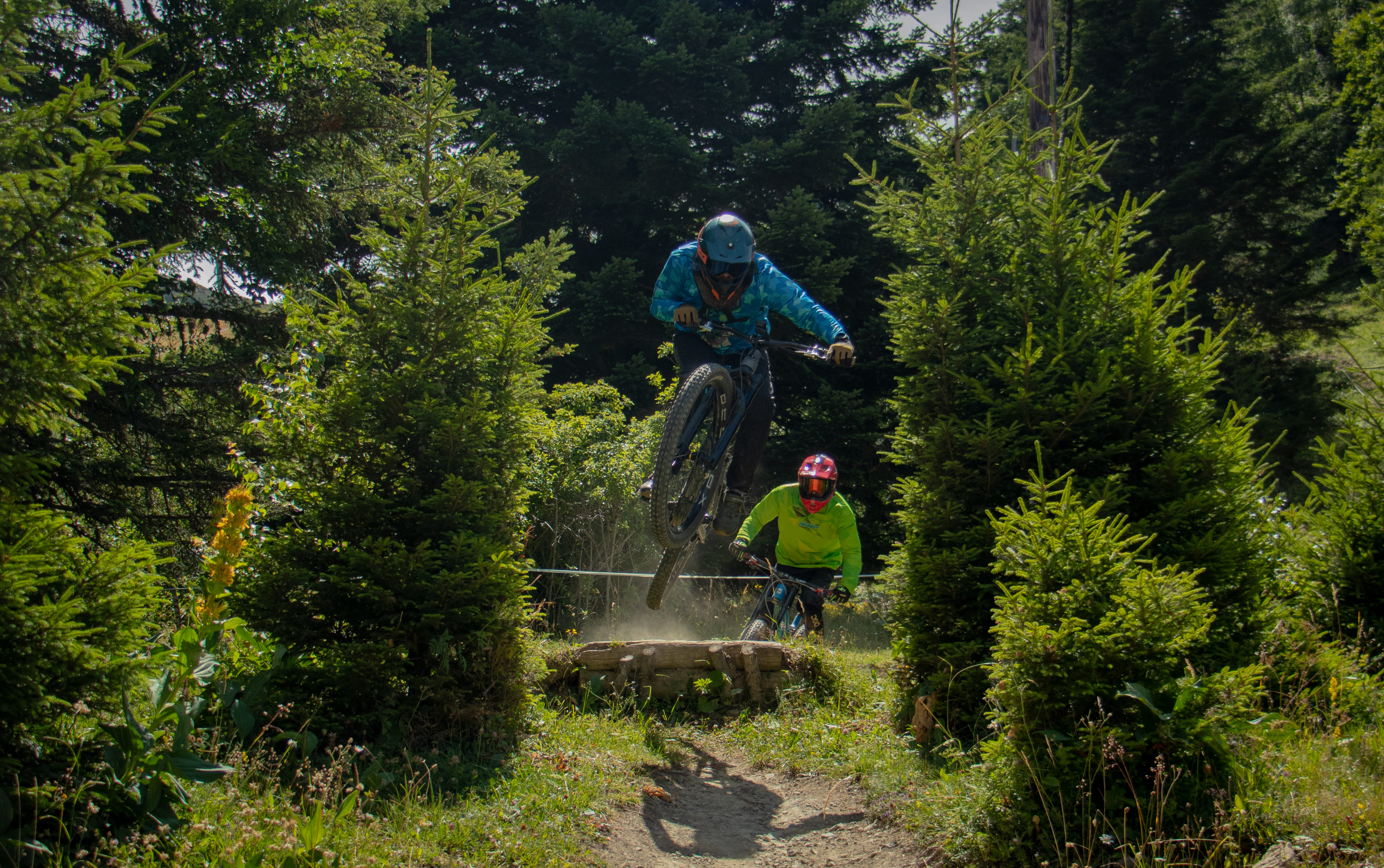 Bois Faudant - variante noire - VTT_Alpe Du Grand Serre