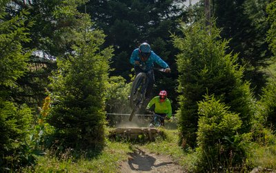 Bois Faudant - variante noire - VTT_Alpe Du Grand Serre