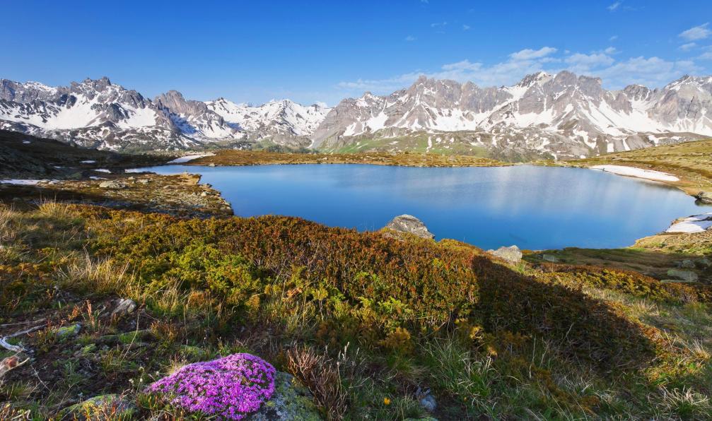 Allibert Trekking