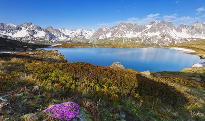 Allibert Trekking