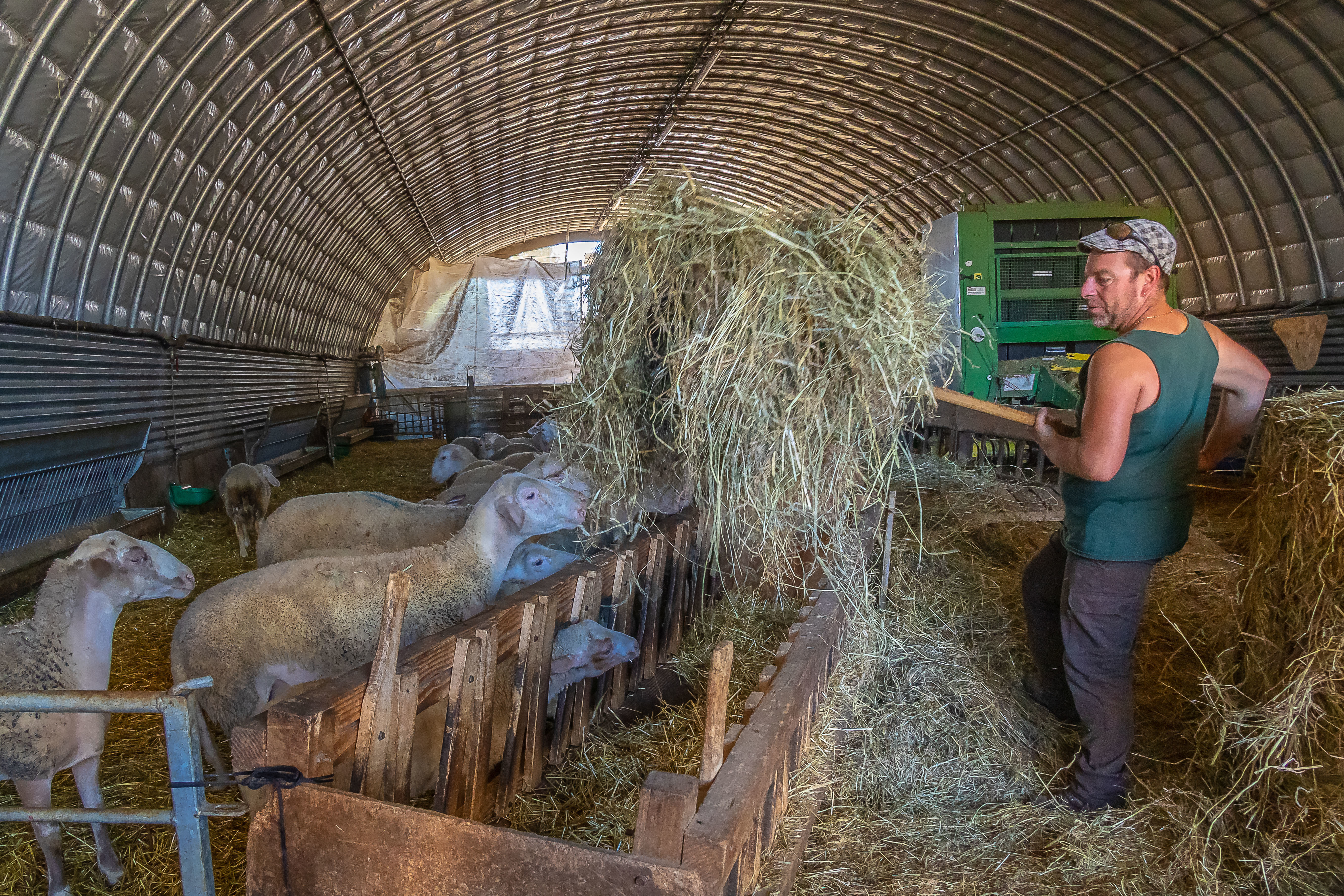 Pads Alzagarrese En Astrakan Rembourré