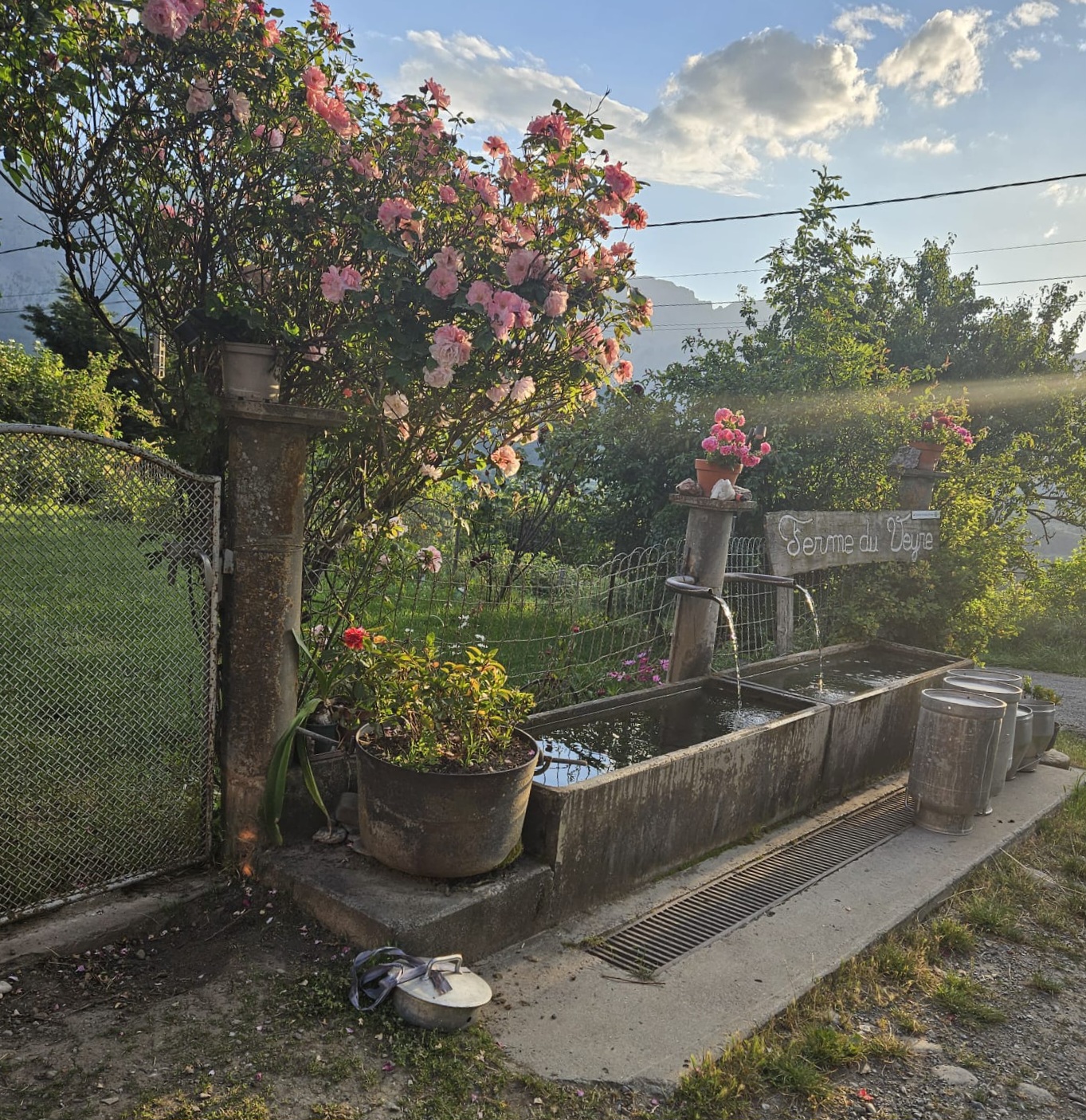 La Ferme du Veyre_Saint-Bonnet-en-Champsaur