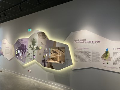 Exposition permanente du Parc national des Écrins_Le Bourg-d'Oisans