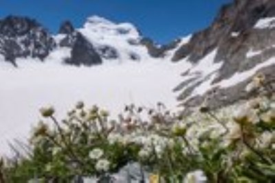 pour film Sur les îles du ciel