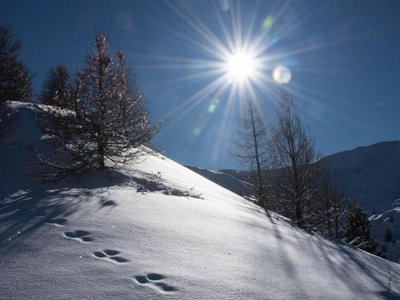 traces saut du lièvre