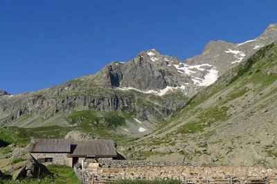 Brebis parquées près de la cabane de Jas Lacroix