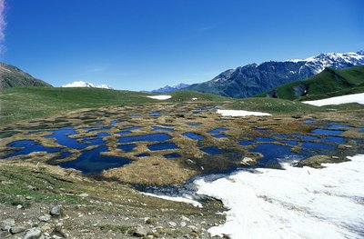 La tourbière de la Muzelle