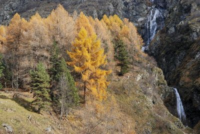 La cascade de Buchardet à l'automne