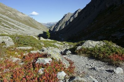 En descendant du col d'Arsine, sous les chalets du même nom. Vue plein est.