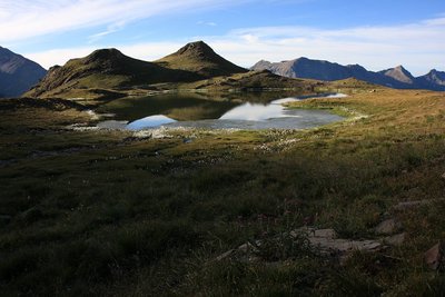 La zone jumide autour du lac des Jumeaux