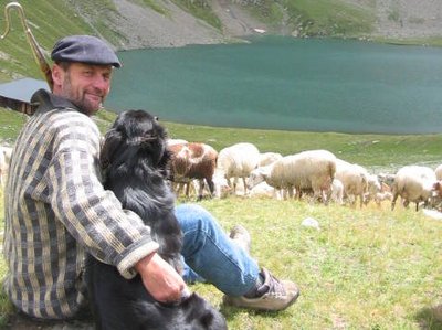 Pastoralisme au lac de la Muzelle