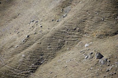 Drailles de vaches "en chenillette"