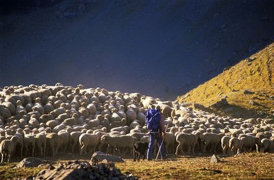 Pastoralisme à Faravel