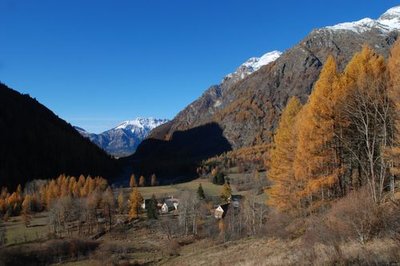 Molines en tenue d'automne