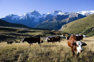 Pastoralisme au Chazelet