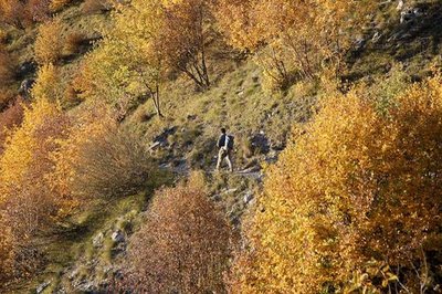 Randonneur sur le sentier du Ministre