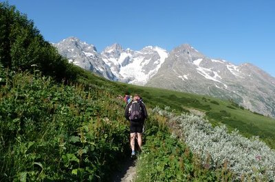 Le sentier traverse la megaphorbiaie.