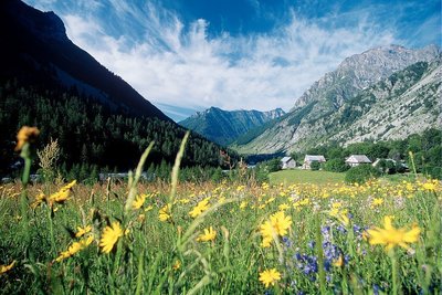 Prairie de fauche dans la vallée de Champoléon