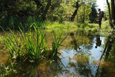 Mare de Bidoye à proximité du sentier du bocage