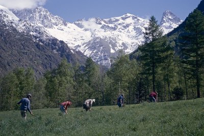 Entretien des canaux d'irrigation