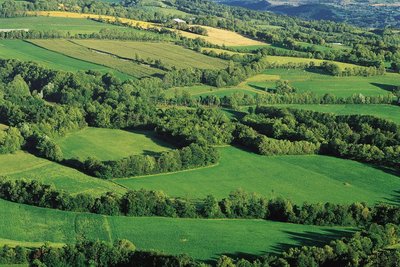 Bocage du Champsaur-Valgaudemar