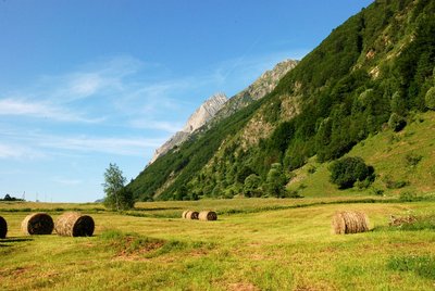 Prairies de fauche du Col d'Ornon, Natura 2000