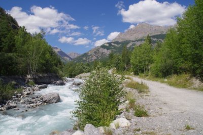 Forêt au bord du Gyr