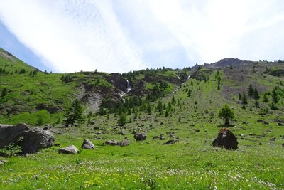 Parc à moutons