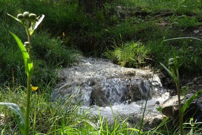 Le Canal de Serre-Duc