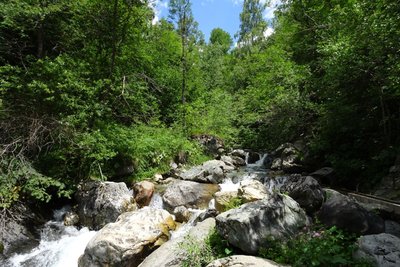 Le torrent de l'Eychauda