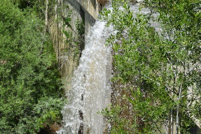 Torrent de Paulin