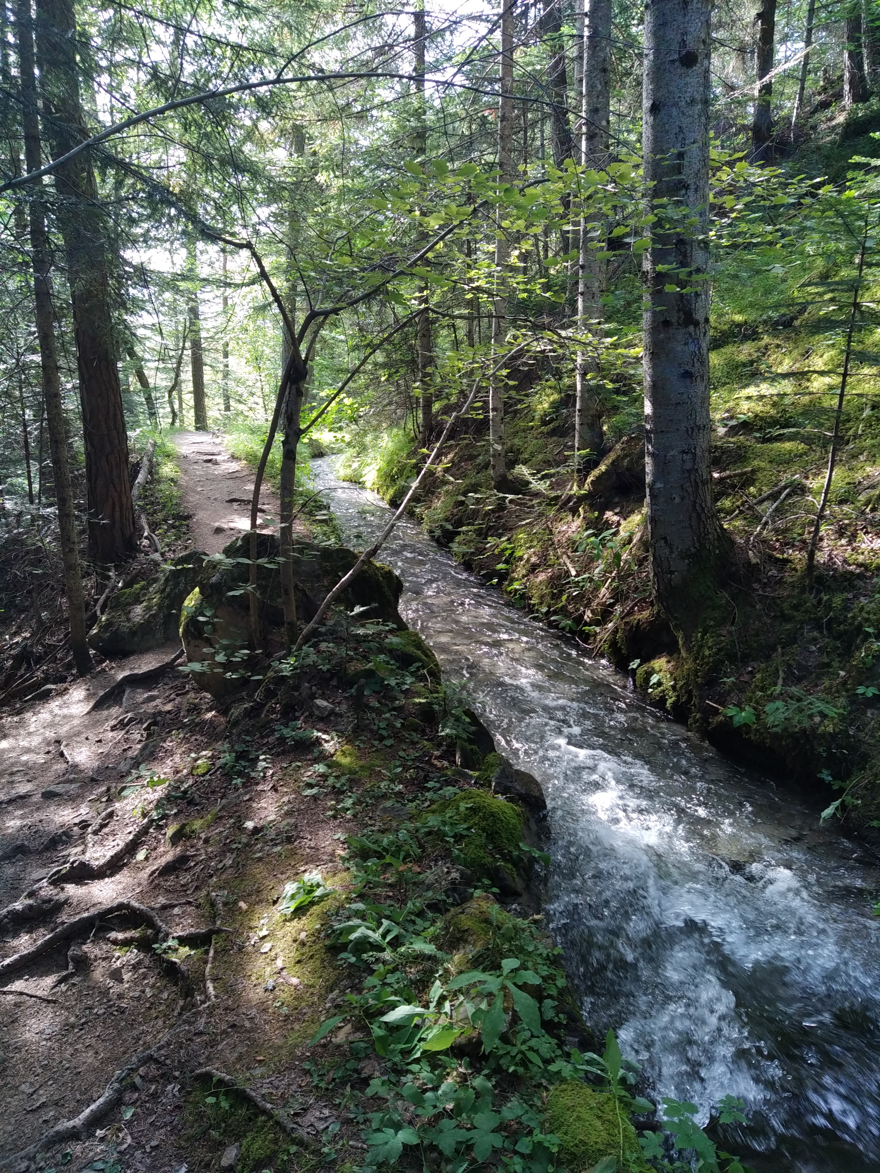 Canal de Gramorel