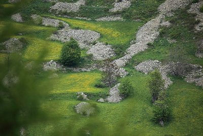 Anciens près de fauche - Clapiers d'épierrement