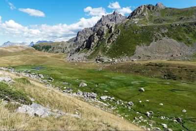 Vue sur le marais du Chardonnet