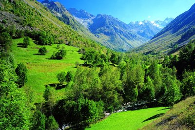 Le vallon de Navette