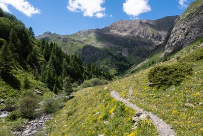 Pelouse alpine fleurie et cabane du Pré d'Antoni