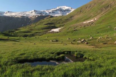 Alpage au Saut du Laire