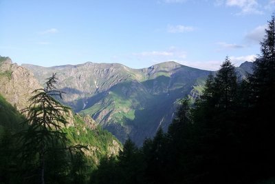 Le vallon de Combe Oursière