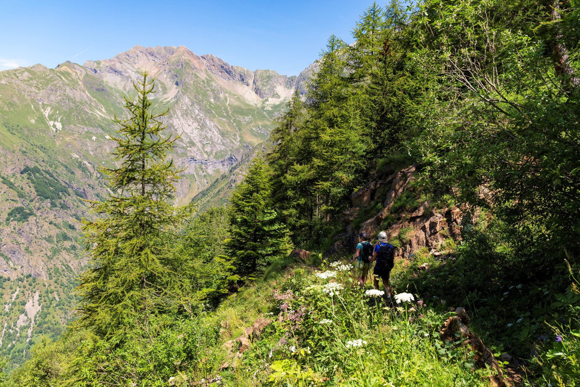 Combe Oursière