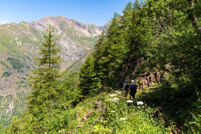 Combe Oursière